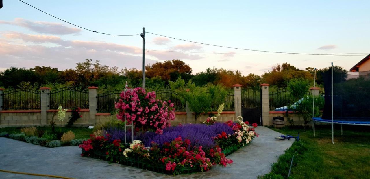 Guest house Black Sea Pearl Complex 1 Krapets (Dobrich)